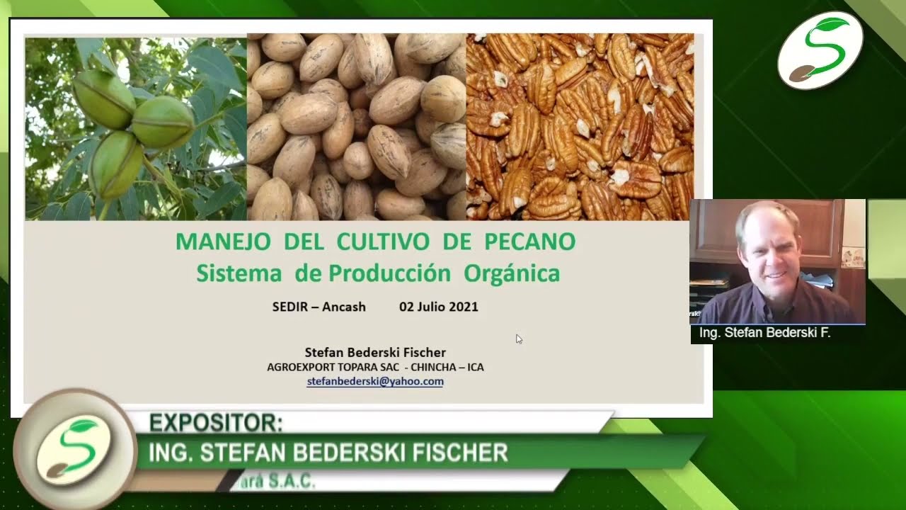 SEDIR: Manejo del cultivo del pecano