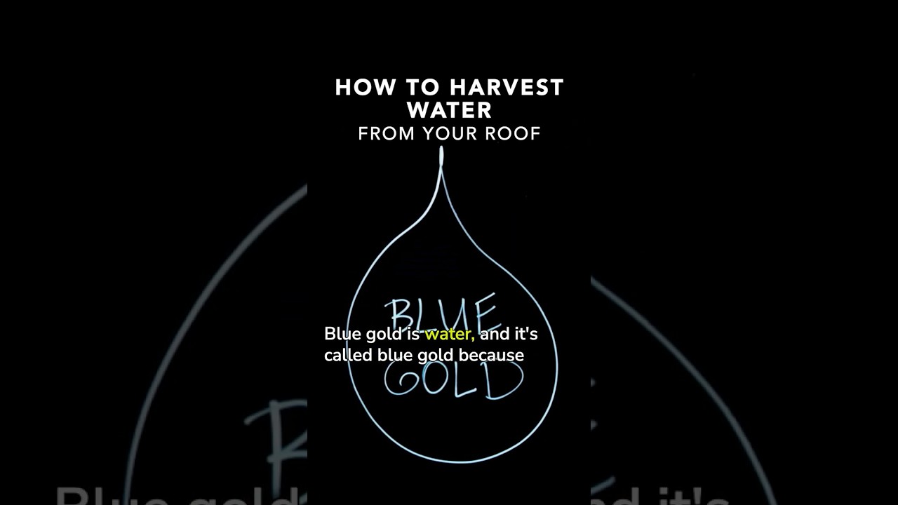 How to Harvest Water From Your Roof