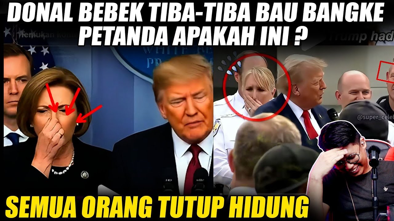 Badan Donal Bebek Tiba-tiba Bau Busuk Pertanda Apa ini ?