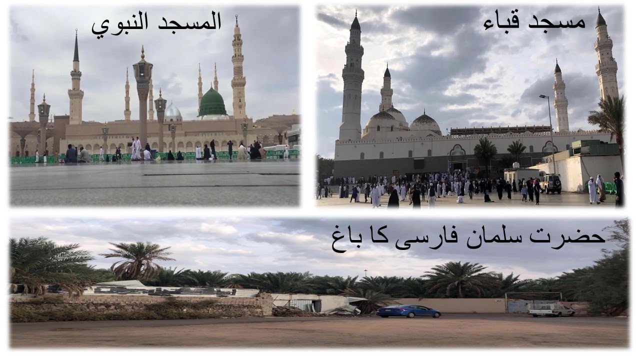Most Awaited Madinah Vlog, Masjid Nabwi, Masjid Quba, Hazrat Sulaiman Farsi Baagh #Madinah#Ziyarah