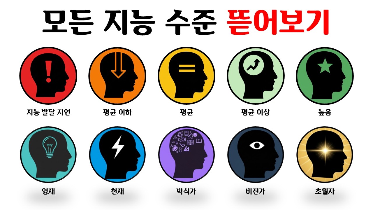 지능 수준 10단계 10분 요약