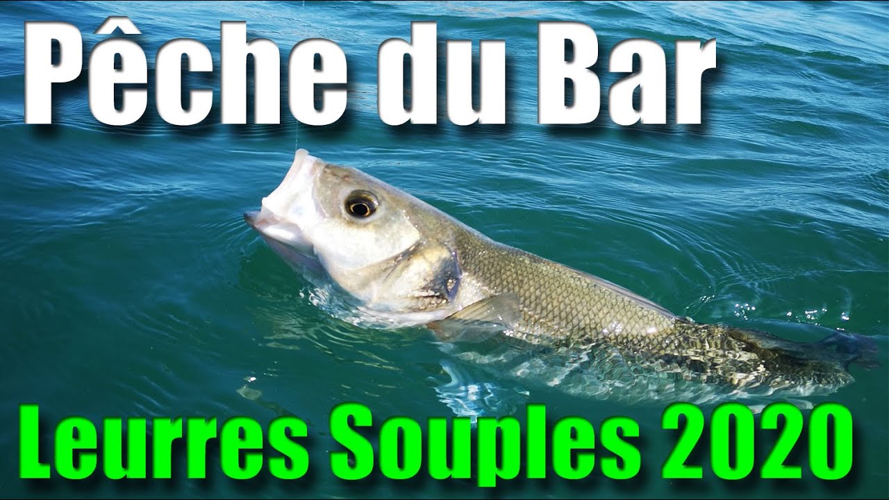 PECHE du BAR en 2020 : Découvrez mes LEURRES souples