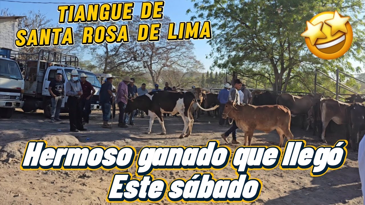Tiangue De Santa Rosa de Lima La Unión El Salvador 
