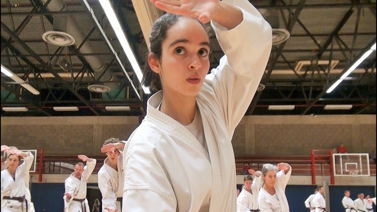 ベルギーの空手熱が凄くてビックリ！Karate Heroes in Belgium! 2015