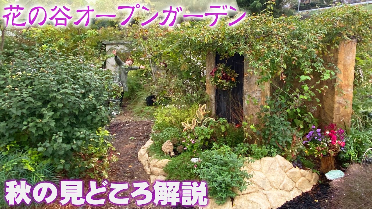 【2024秋のオープンガーデン】庭の風景の作り方の解説と「寄せ植え＆ハンギングバスケット」作品紹介【花の谷オールドビレッジ】