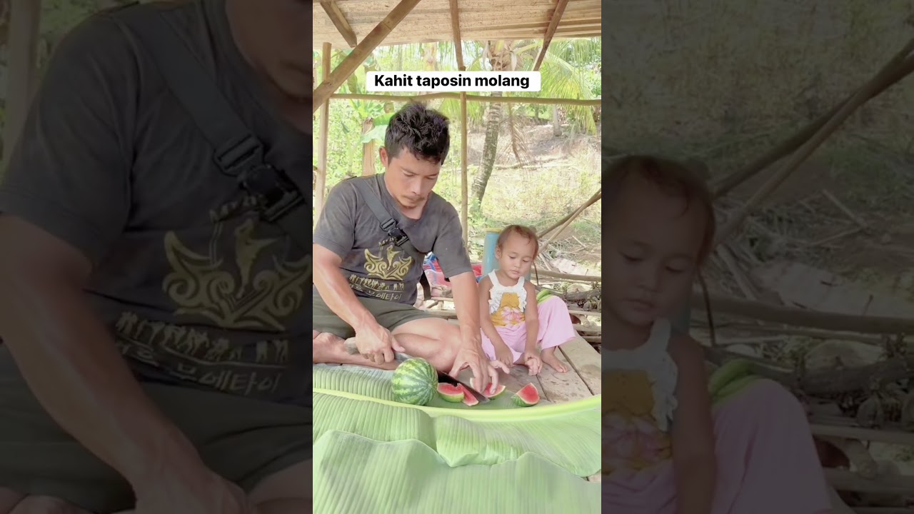 Farm-Fresh Watermelon Harvest! 🍉 Father & Daughter Bonding #Shorts
