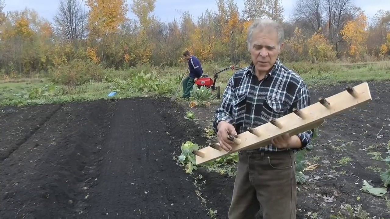 Приспособление для посадки чеснока