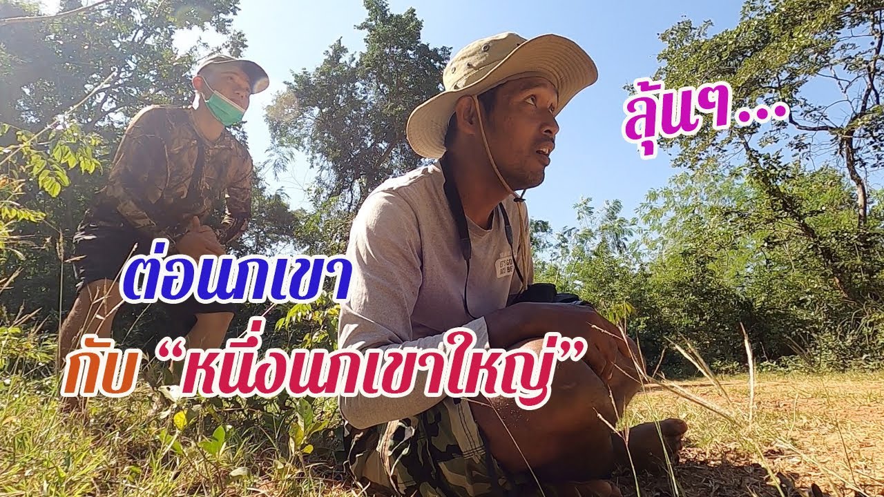 นกต่อคารม หลิ่วเฟือง ต่อนกเขาใหญ่ กับเซียนหนึ่งจากช่อง 