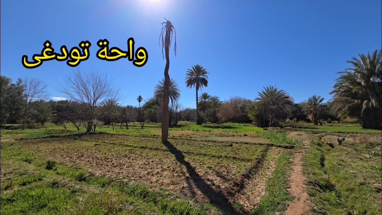 هنا واحة تودغى : تنغير