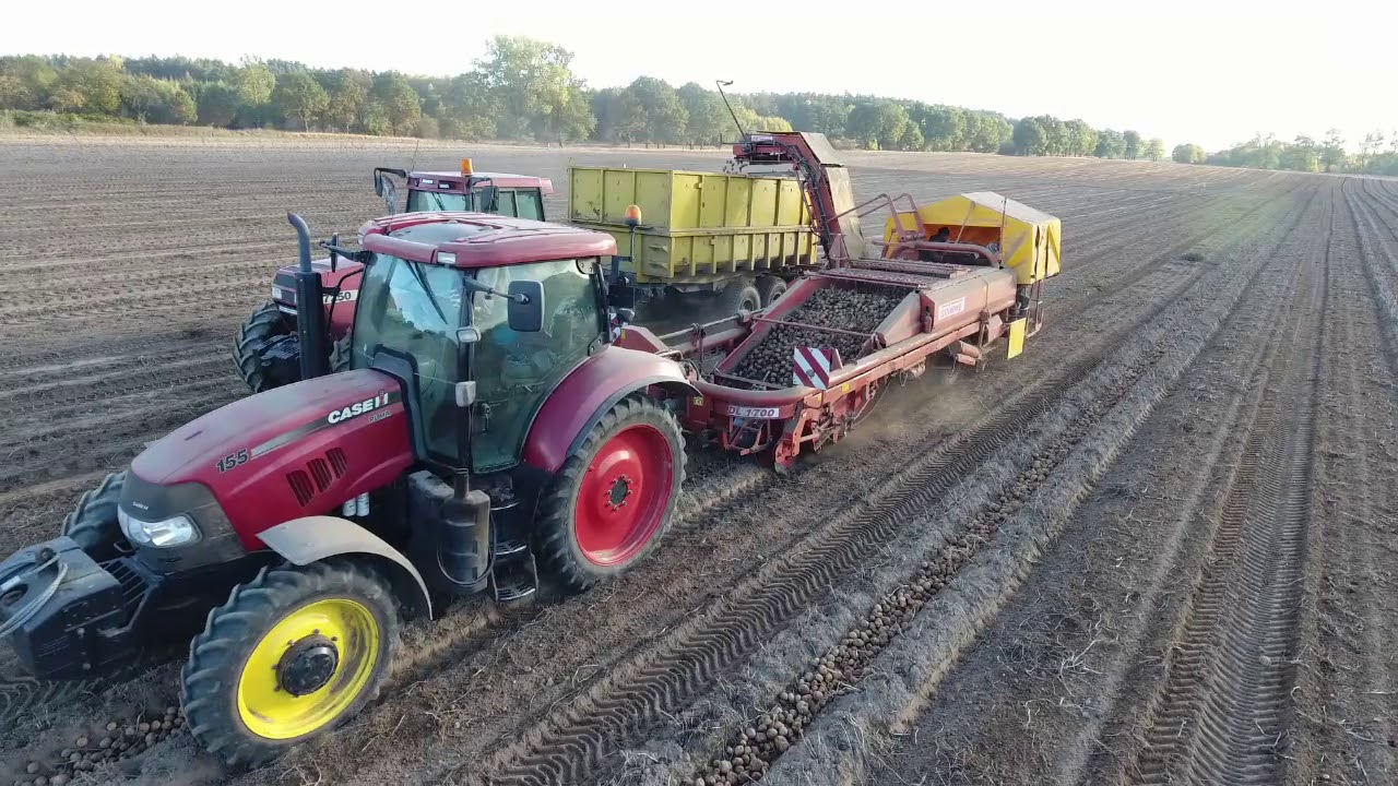 GRIMME DL 1700 wykopki ziemniaków 2018