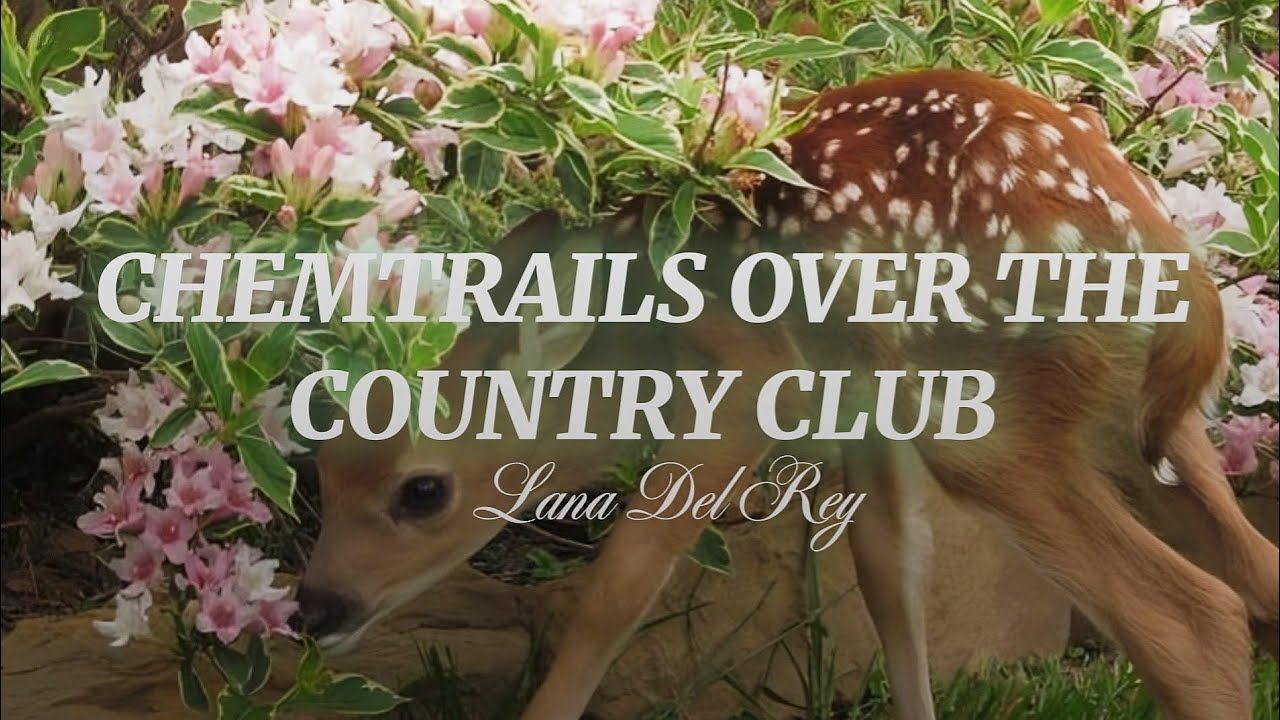 Lana Del Rey - Chemtrails Over The Country Club (dreamy version + lyrics)