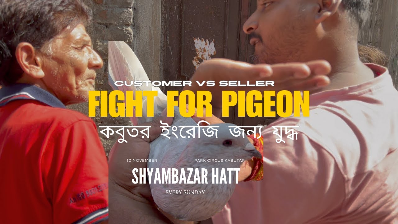 KOLKATA'S LARGEST Pet Market on Galiff Street! Shyambazar,Kolkata