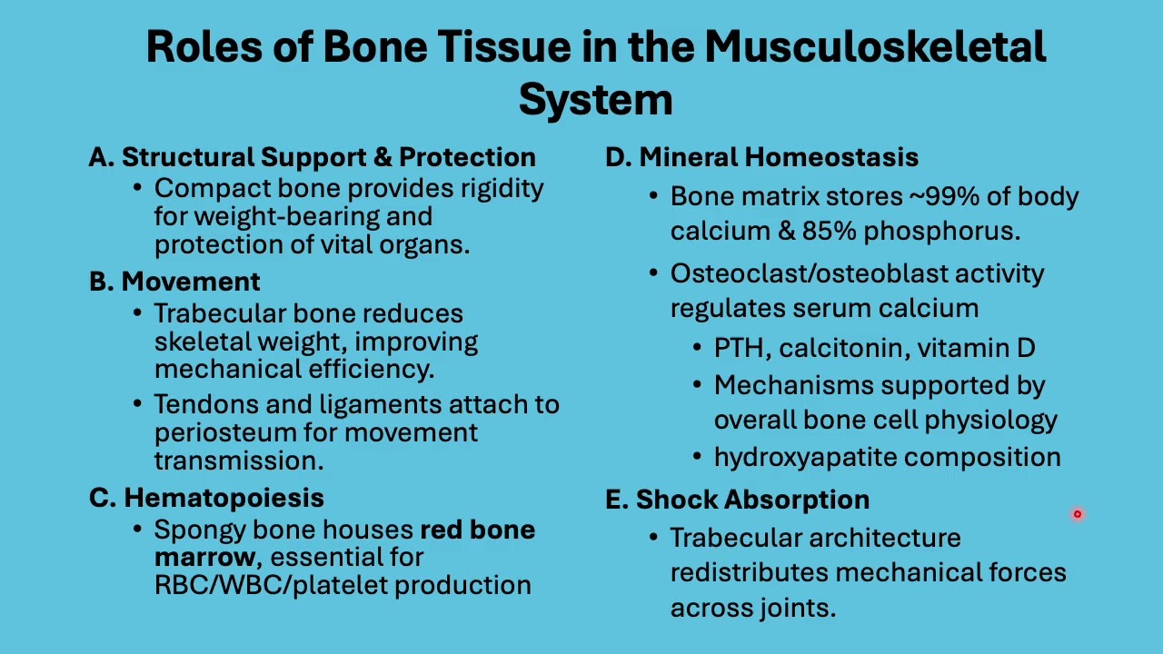 PAS 539 Module H Musculoskeletal Pathophysiology