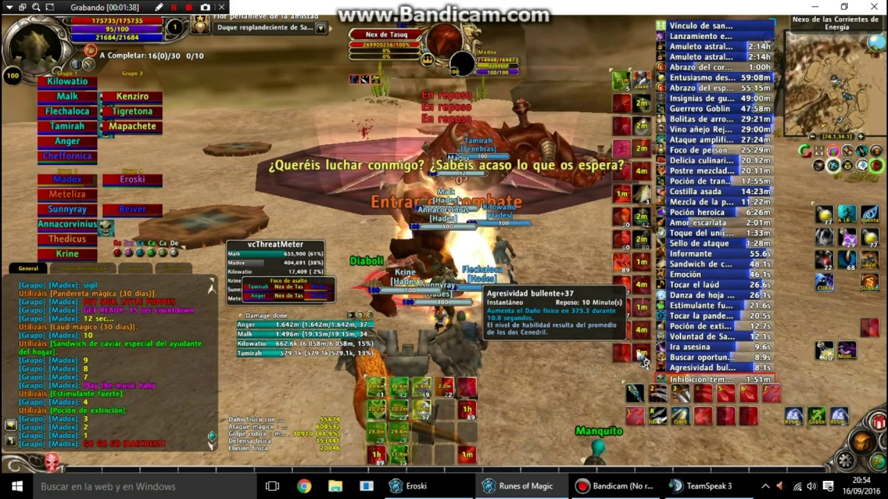 1st day as rogue mage - run in hoe and vor - Runes Of Magic -Hades