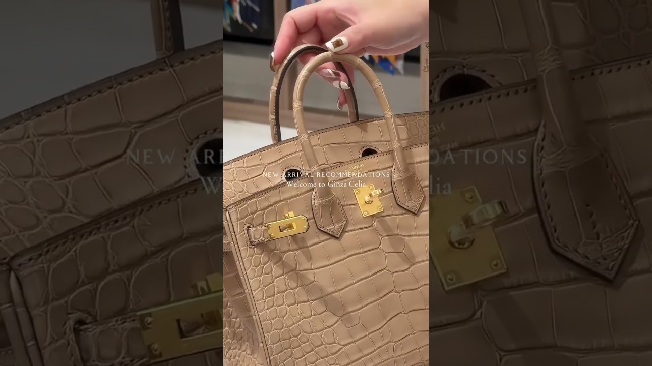 The croc collection that broke the internet 🐊 #hermes #birkin #CrocLeather #minikelly #luxurybags