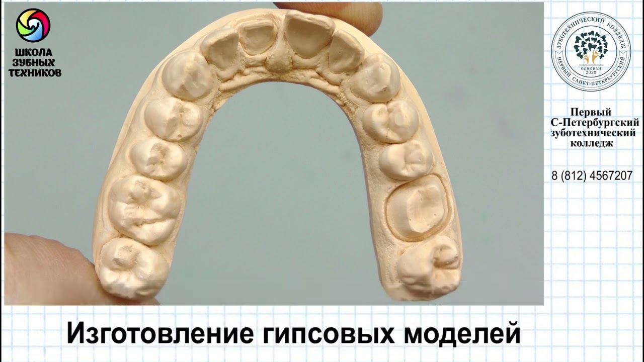 Изготовление гипсовых моделей. Часть 2