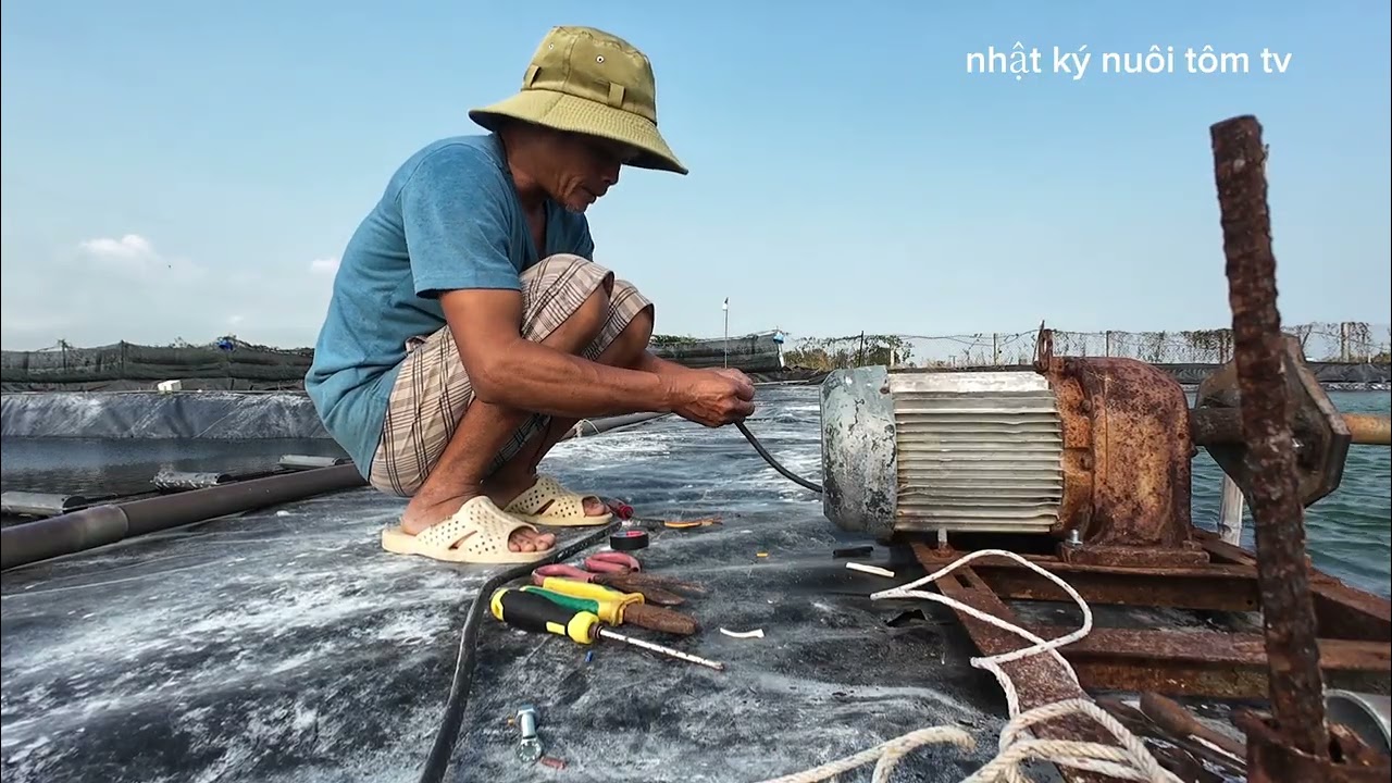 rạp một láp quạt hết 2 ngày?