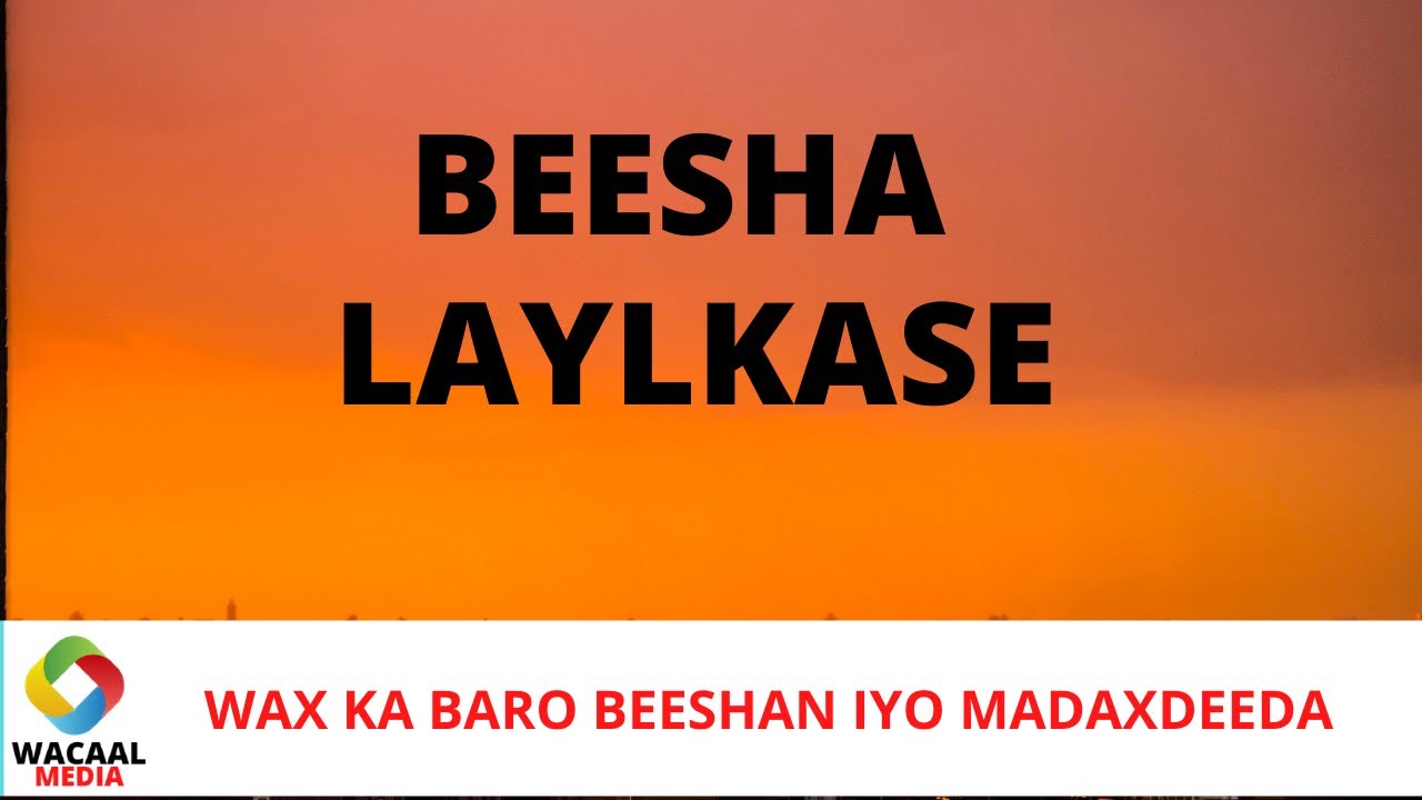 BEESHA LAYLKASE HAWIYE, DAAROOD IYO RAXANWEYN BA MA AHAN