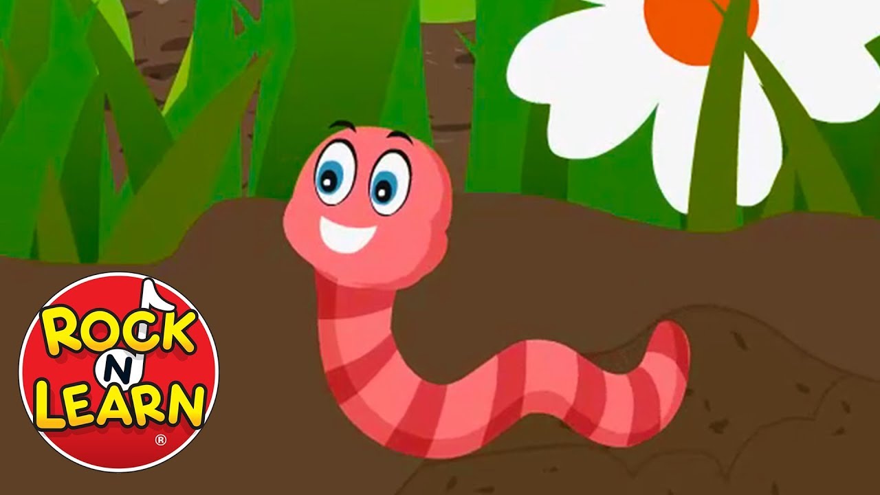 Wiggly Woo