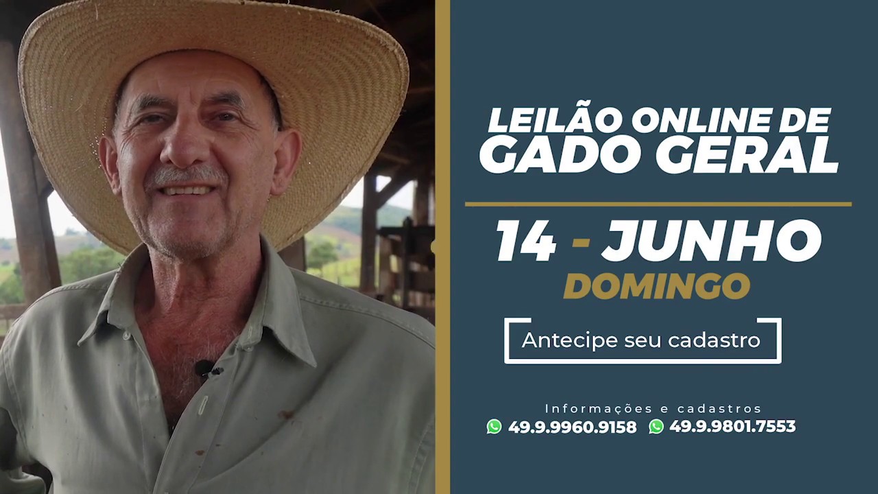 TARUM&Atilde; REMATES 3&ordm; LEILAO ONLINE 2020 ANGELO BAZOTTI
