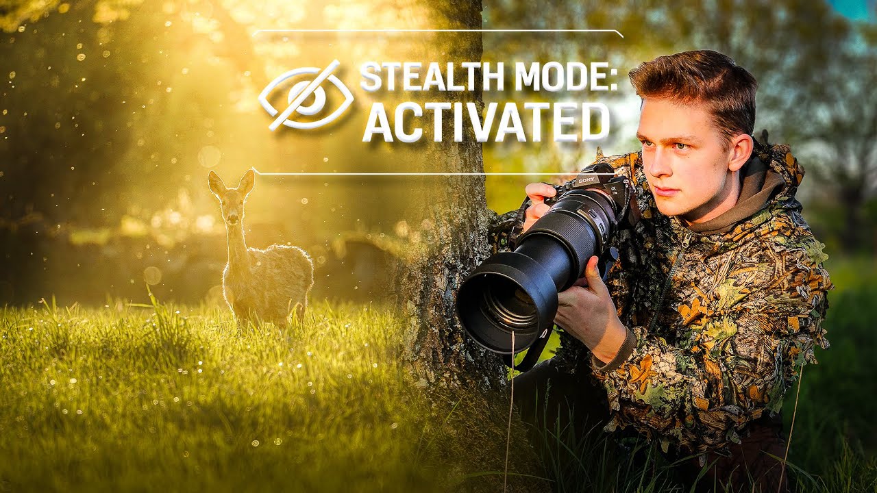 Stalking Roedeer In Camo | Evening Wildlife Photography