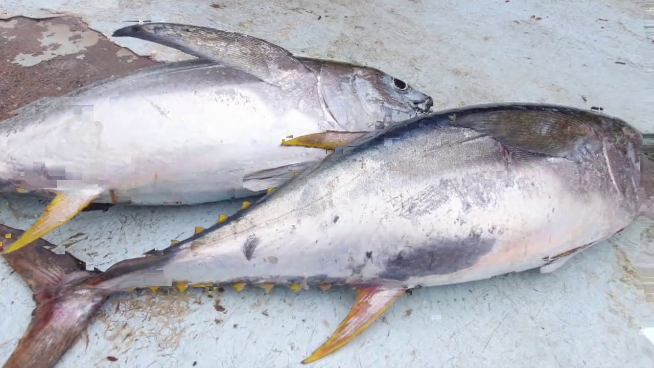 Fishing: Where to fish, Hibberdene to Margate, KZN South Coast