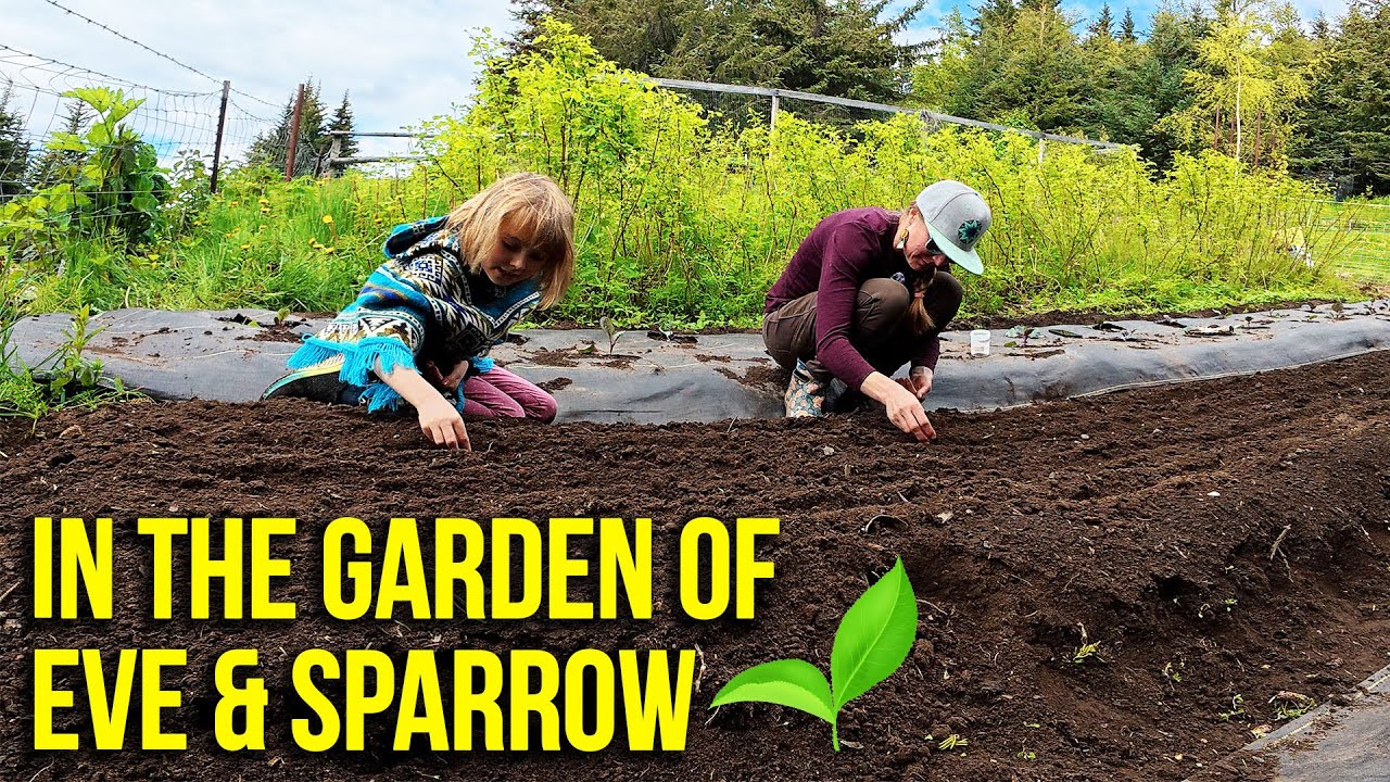 How to Survive: Sparrow & Eve start the winter food supply