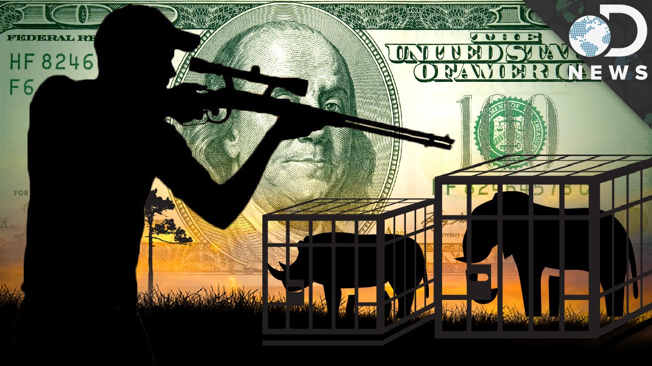 Just How Large Is The Black Market Wildlife Trade?