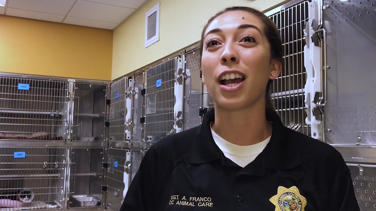 Animal Welfare Hero: OC Animal Care Field Services Team