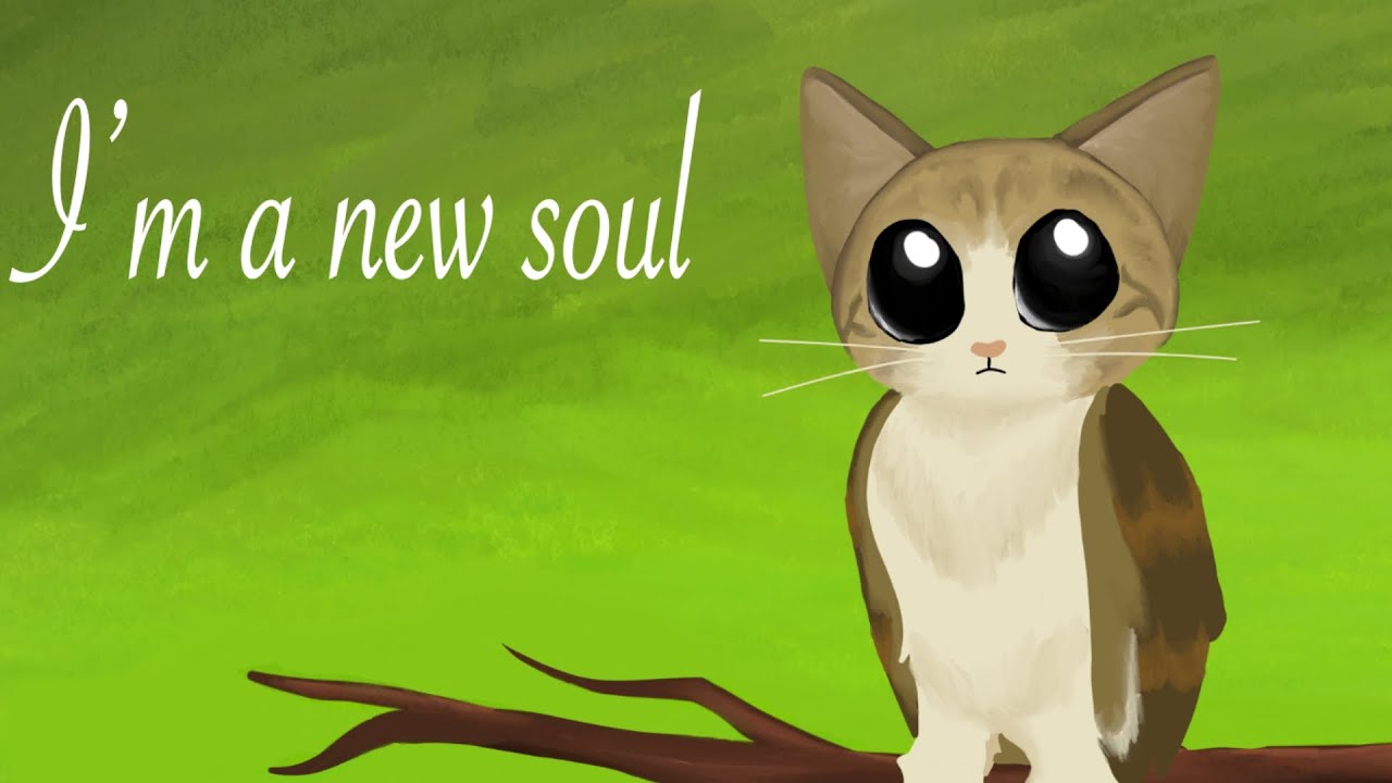 New Soul | Animation Meme | Owlcat Meowl