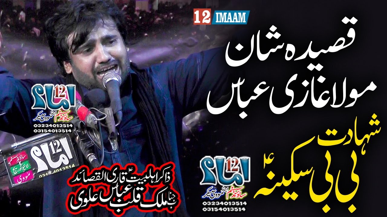 Zakir Qalab Abbas Alvi | New Qasida Mola Ghazi | Shahadat Bibi Sakina a.s | New Majlis