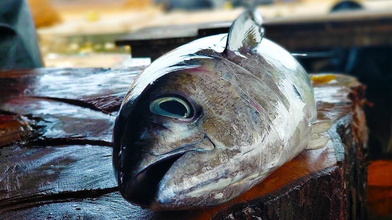 Tuna Fish Cutting By Mr.Ravi | Fish Cutting Skills