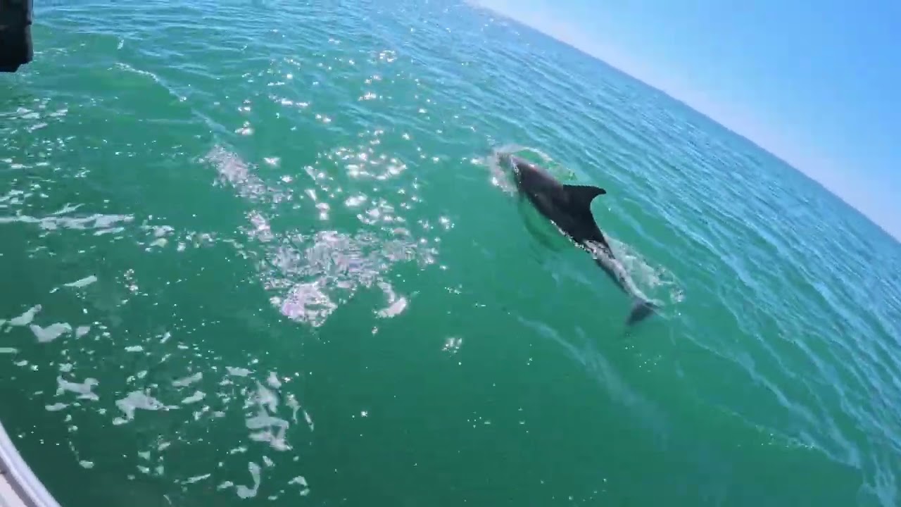 Corpus Winter Sailing