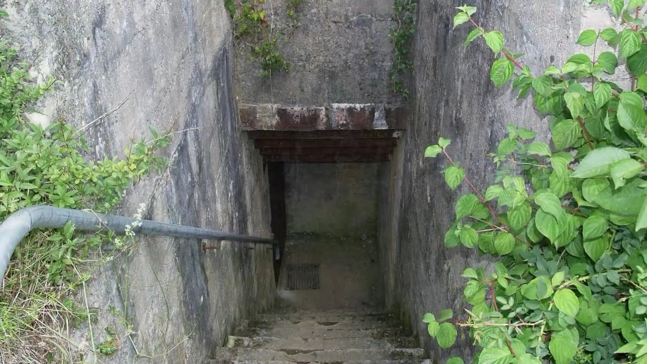 Batteries of Mont Canisy