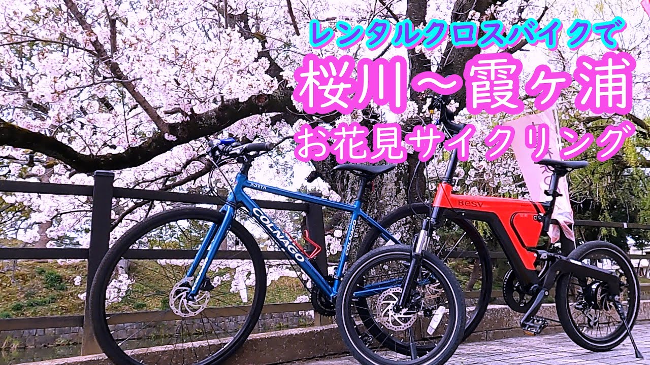 レンタルクロスバイクで行く　土浦・桜川～霞ヶ浦　春の桜ライド
