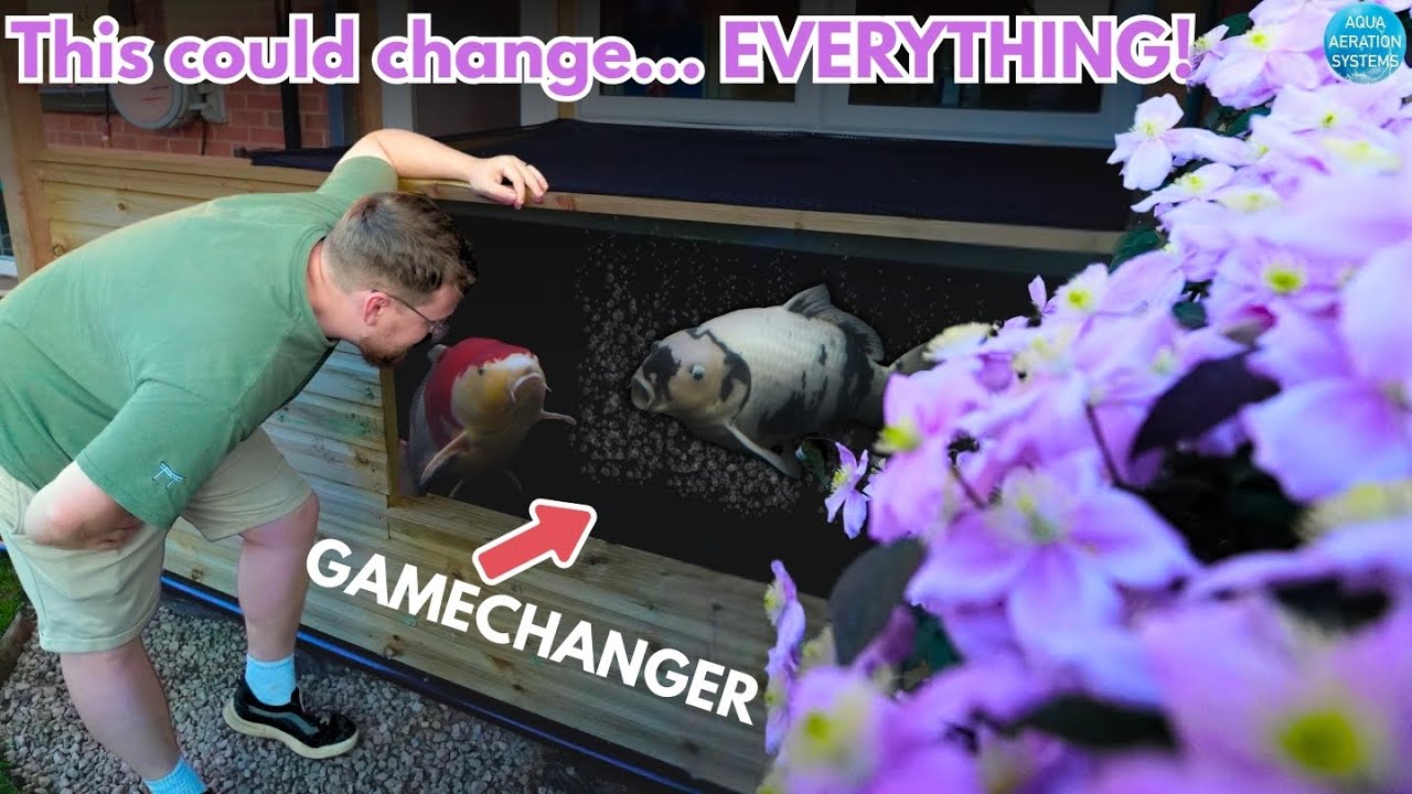 This Koi Pond AERATION is INSANE! - But What Does It Do?