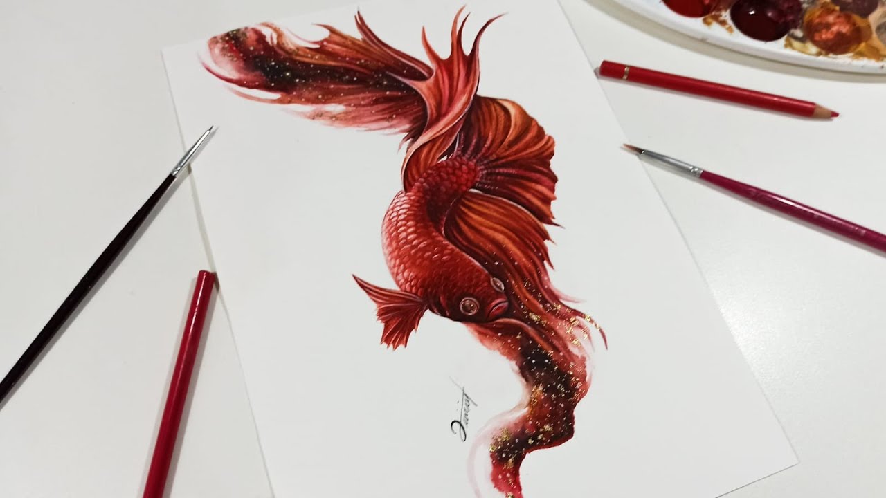 Watercolor Speedpaint - RED BETTA FISH