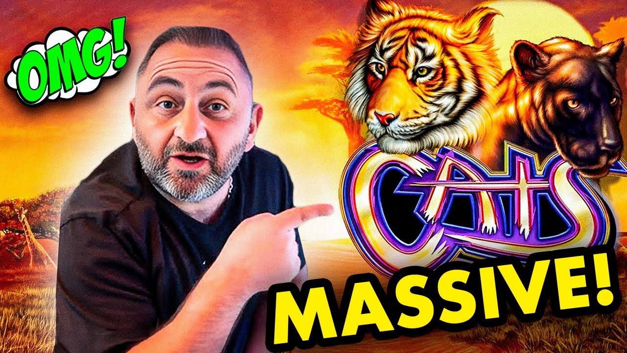 HANDPAY JACKPOTS О БОЖЕ, КОШКИ С ВЫСОКИМ ЛИМИТОМ ТОЛЬКО ЧТО ВЫИГРАЛИ!!!