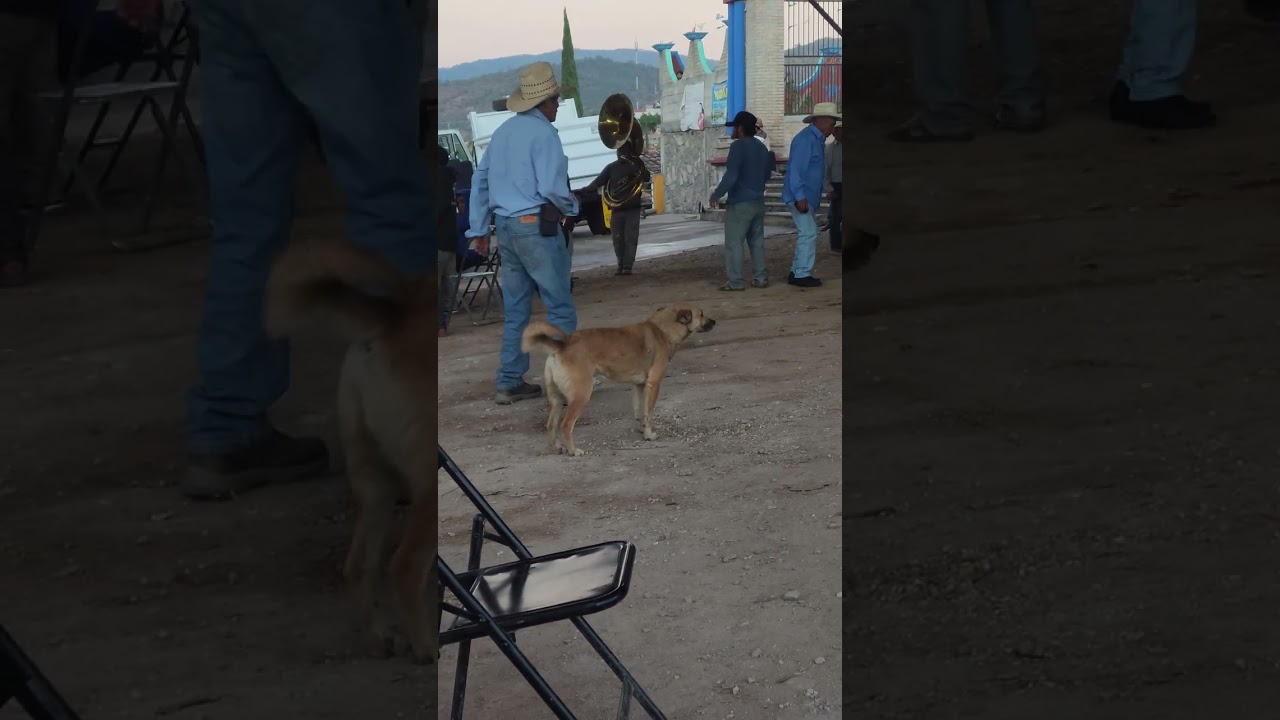 Así se disfruta con la música de banda ##banda Unión Arcángel