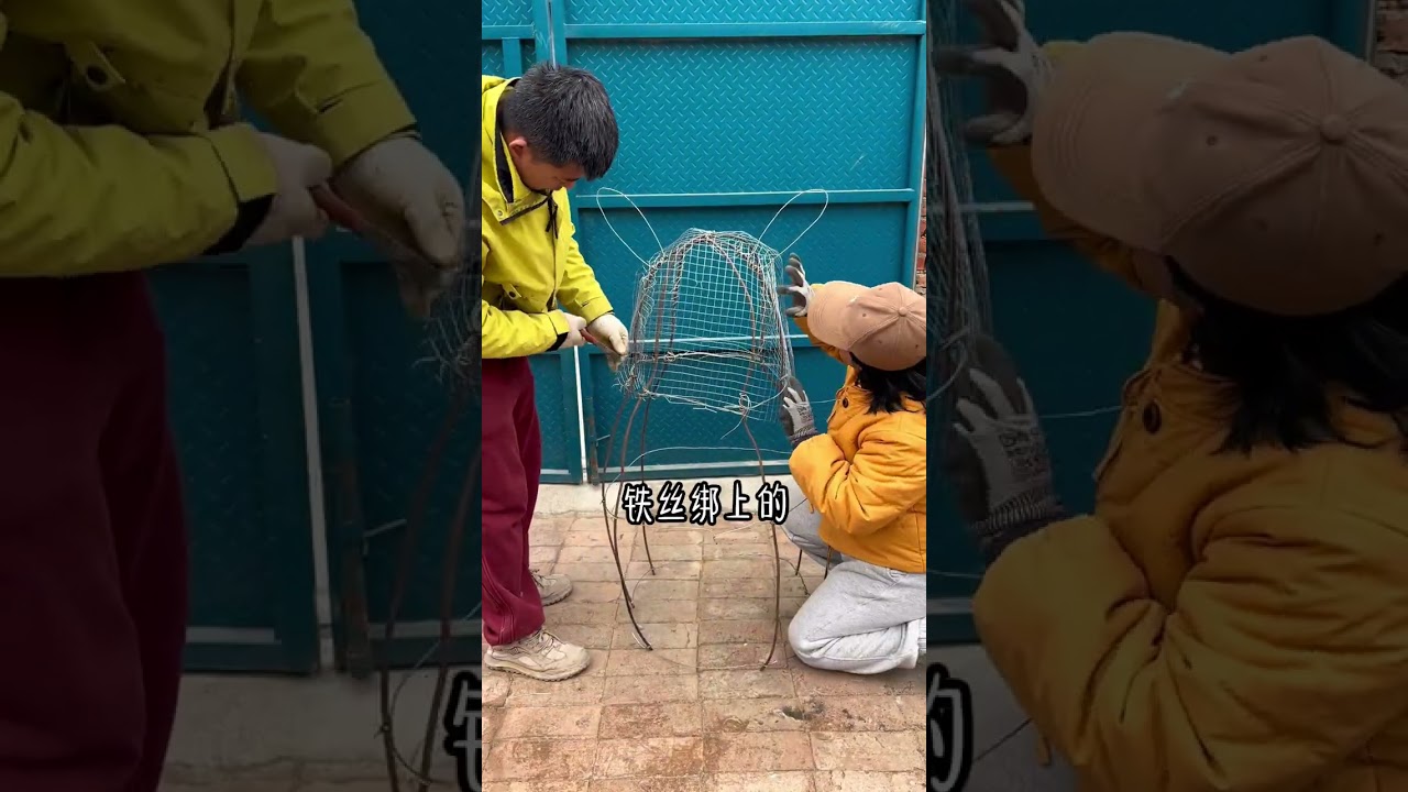 Revolutionary Renovation: Iron Pot to Mushroom Garden in Beijing's Courtyard