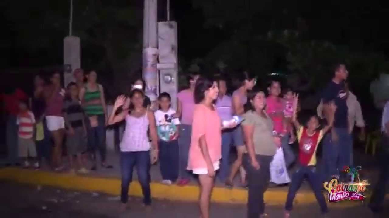 Resumen de los paseos del Carnaval 2014 del Ayto. de Manlio Fabio Altamirano, Ver.