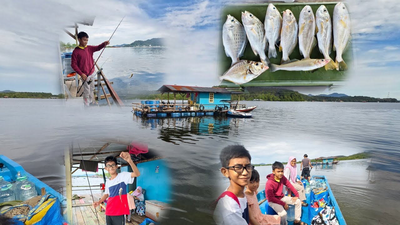 Memancing Bersama Keluarga Di Kelong Dindang, Kg Bharu, Lumut #fishing #angler #memancing #pancing 