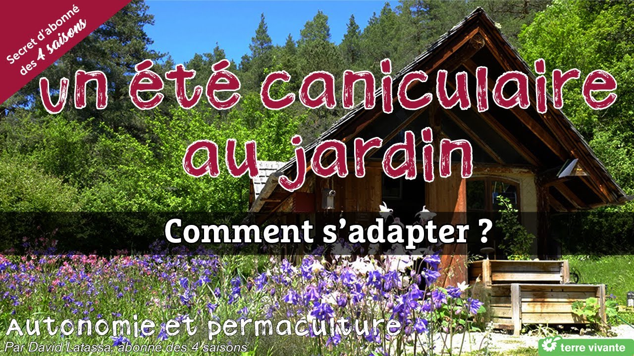 Canicule au jardin, comment s'adapter ? - Autonomie et permaculture avec David