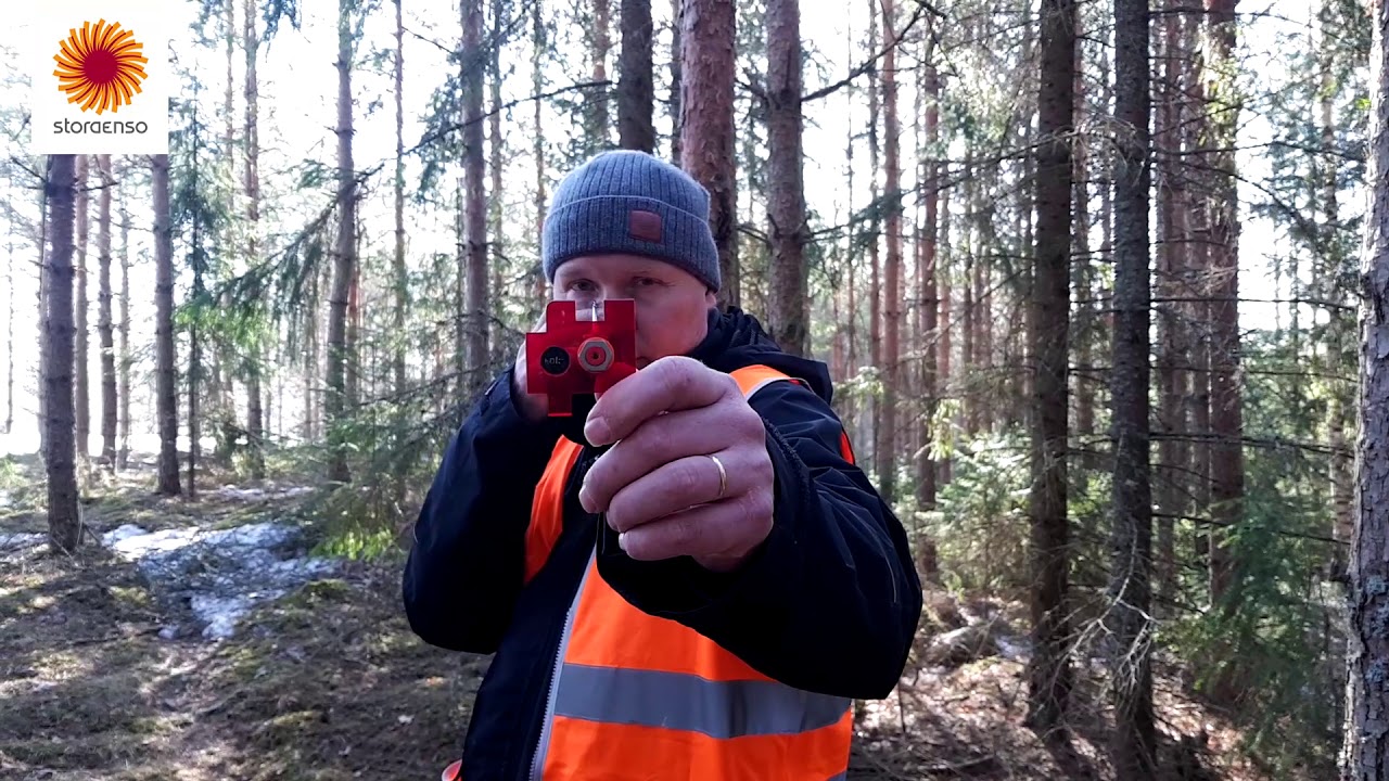 Metsäasiantuntijan vuosi - huhtikuu