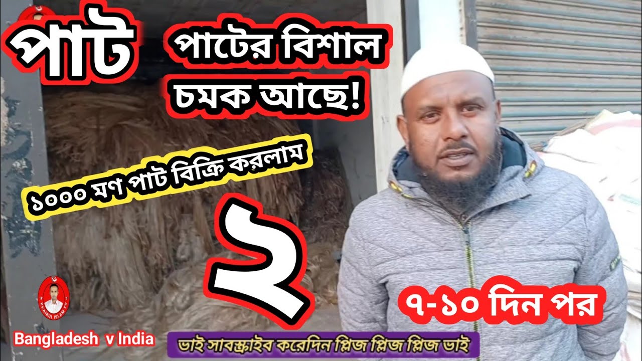 পাটে চমক আছে! ১০০০ মণ পাট বিক্রি করলাম | চাঁচকৈড় বাজার গুরুদাসপুর নাটোর | ৩০-০১-২৬