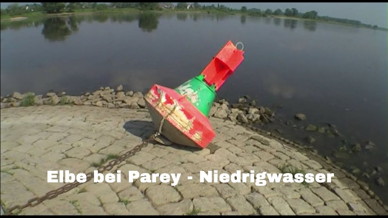 2011 05 Elbe Niedrigwasser Strandgut