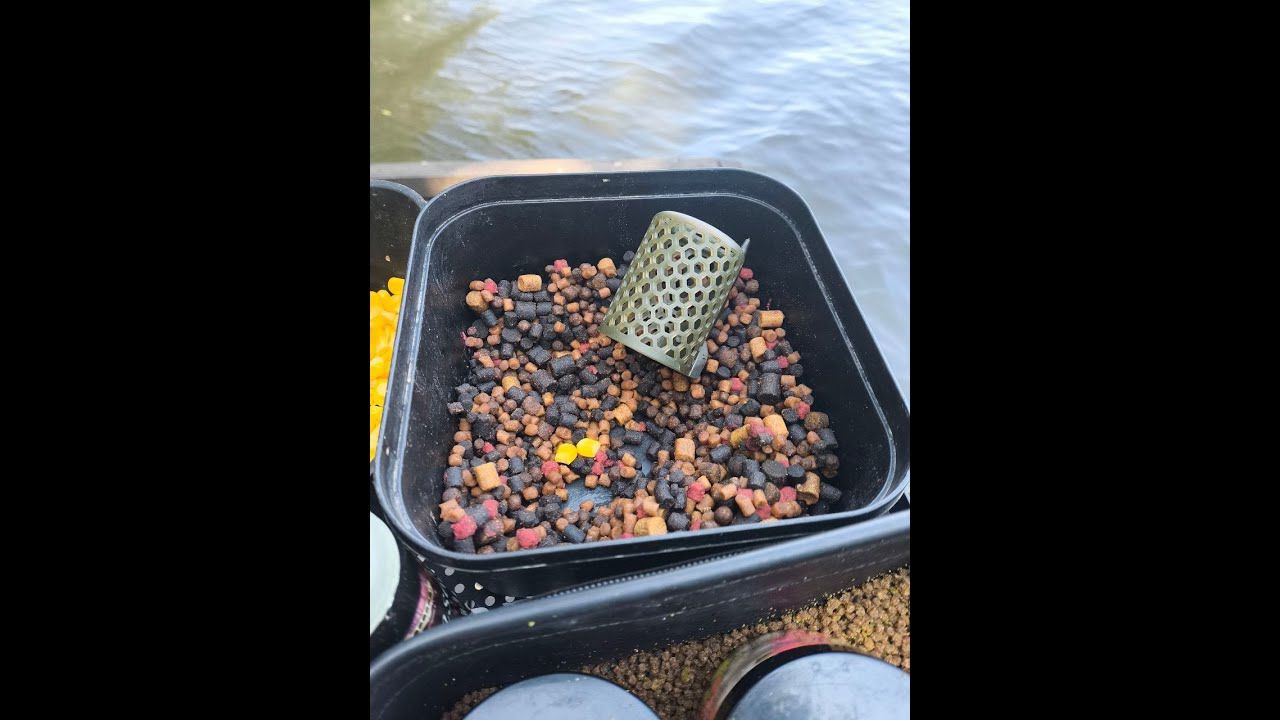 FLAT FEEDER. Ловля CARP. Ловля на Wafters/ Насадки CARP BALLS/