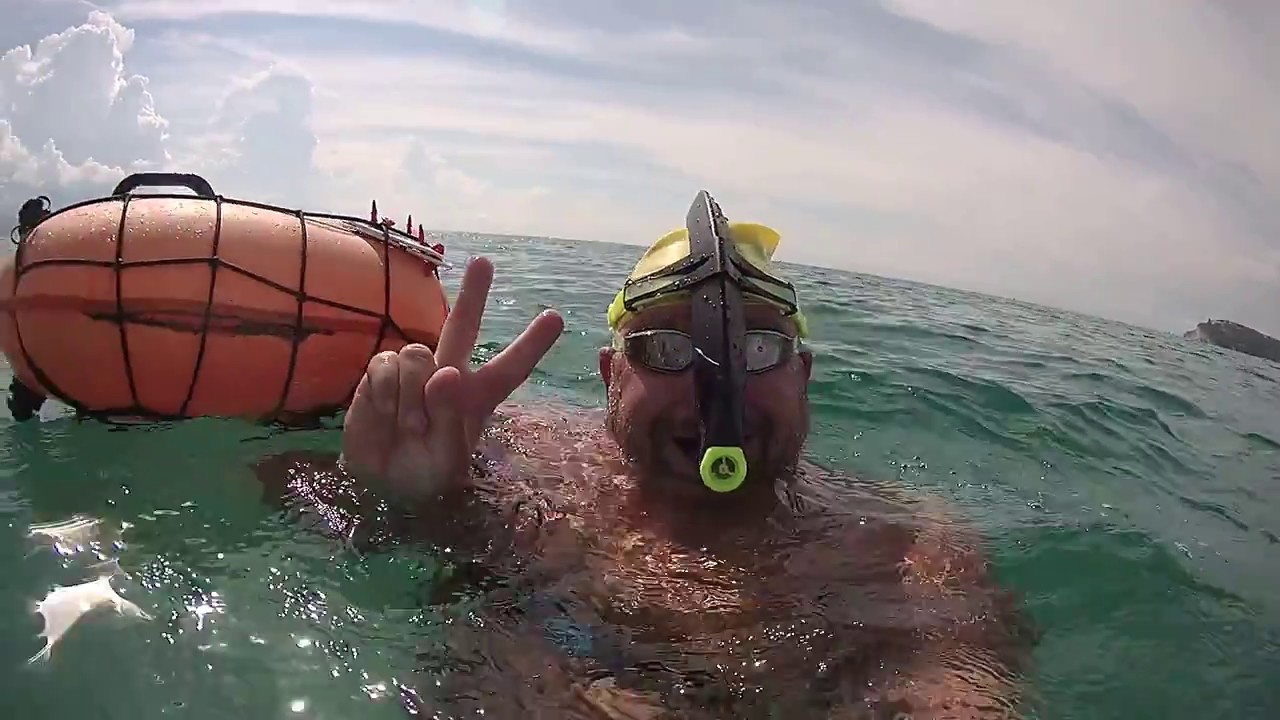 18.08.2018 Razza durante nuotata al Poetto Stabilimento Vigili del Fuoco CAGLIARI