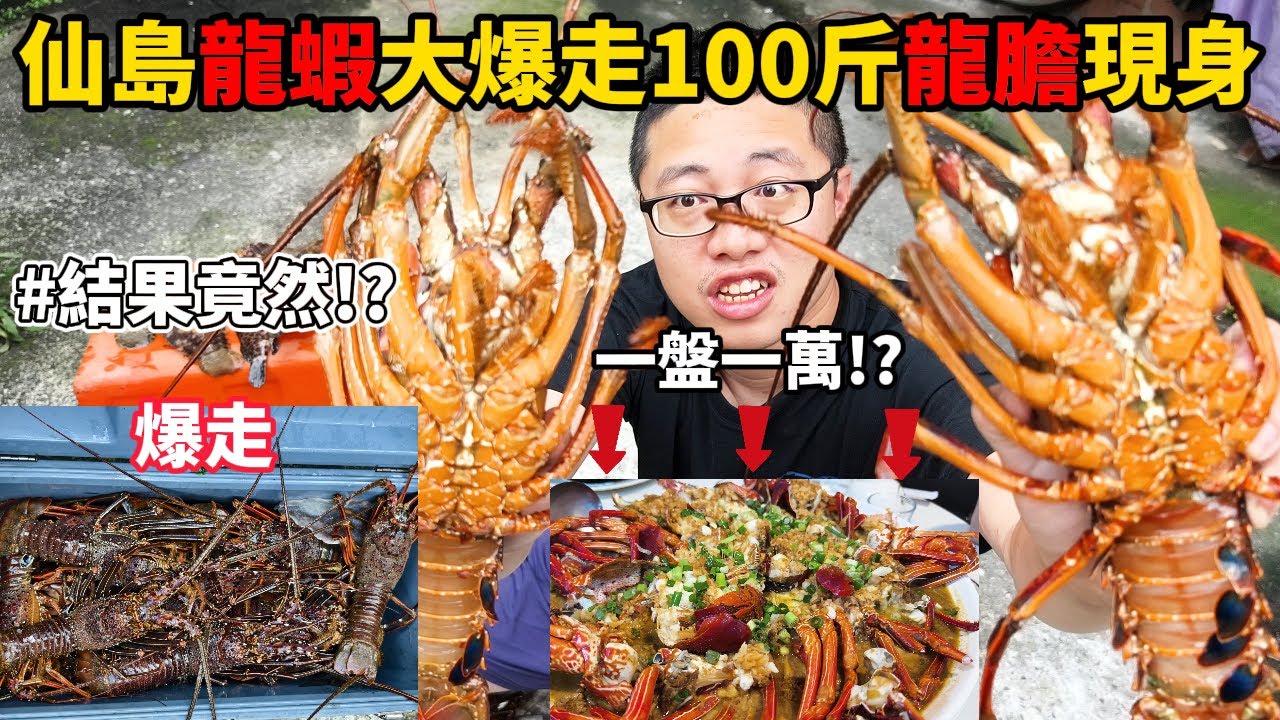 《仙島》半米礁上全是龍蝦 竟然還有超巨型龍膽石斑 直接上臉對A 龍蝦直接新莊代客全部吃起 一盤菜一萬!?#抓海鮮 #料理