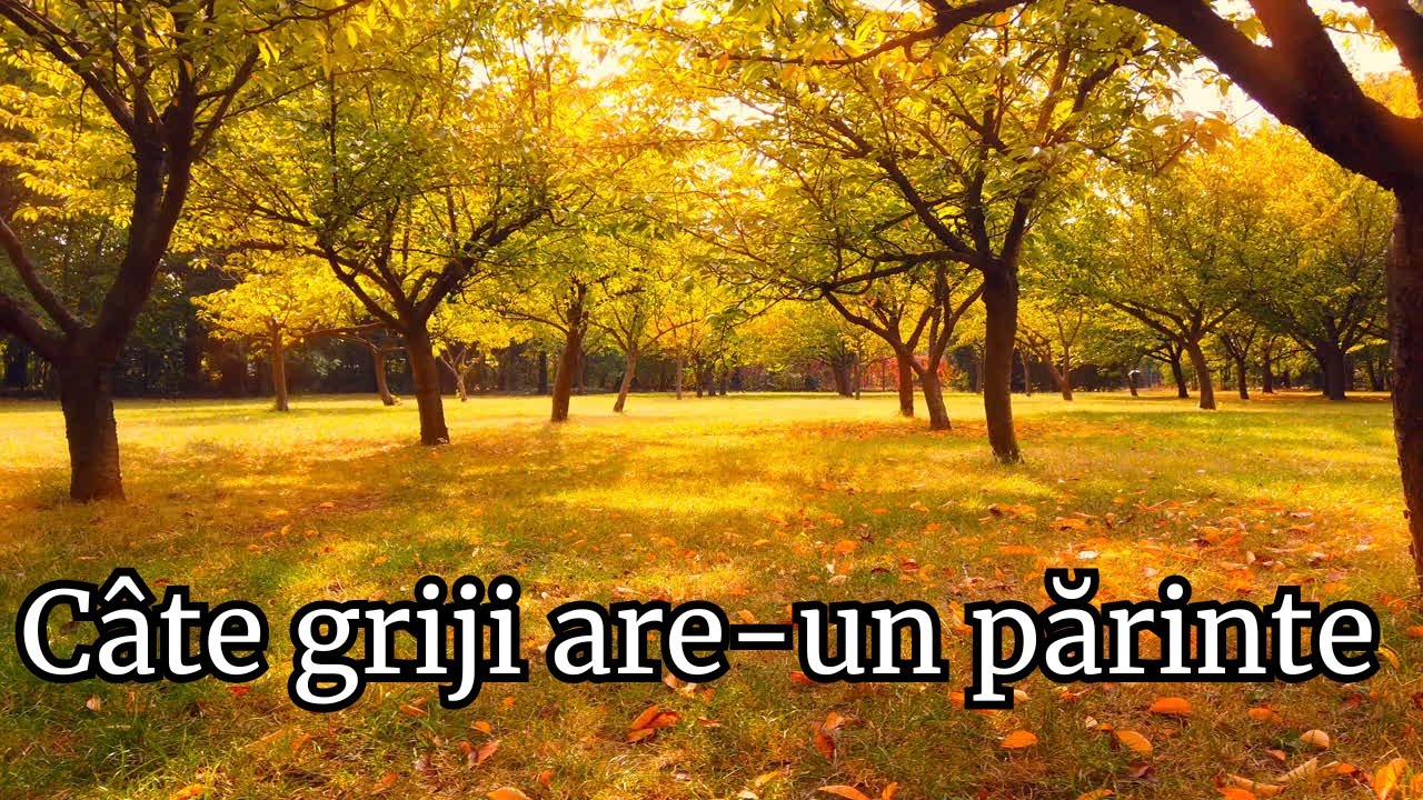 Câte griji are-un părinte ❤️ Dor & Ritm | Cântec românesc original pentru suflet și familie
